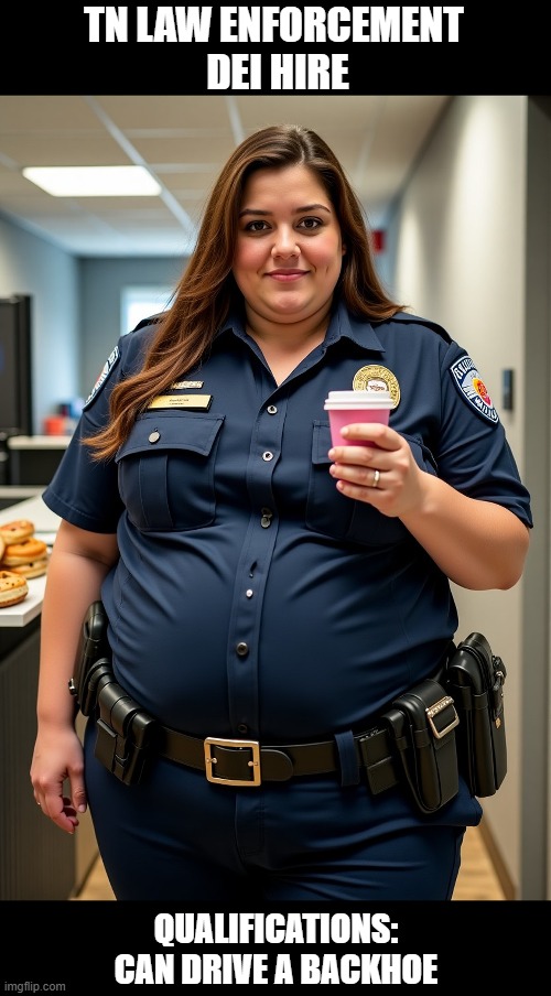 TN LAW ENFORCEMENT
 DEI HIRE QUALIFICATIONS:
CAN DRIVE A BACKHOE | made w/ Imgflip meme maker