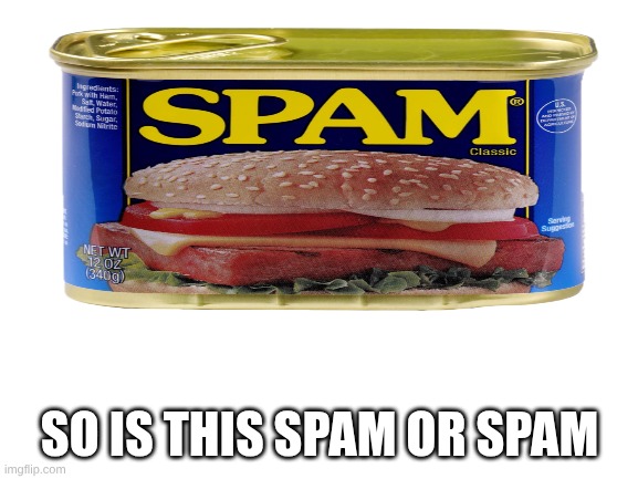 Blank White Template | SO IS THIS SPAM OR SPAM | image tagged in blank white template | made w/ Imgflip meme maker