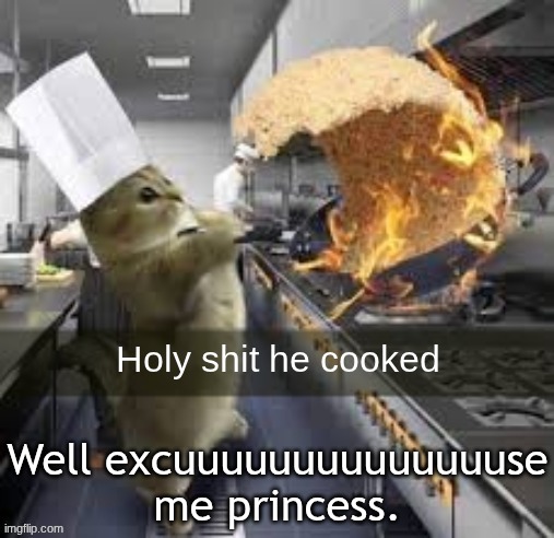 Holy shit he cooked | Well excuuuuuuuuuuuuuuse me princess. | image tagged in holy shit he cooked | made w/ Imgflip meme maker