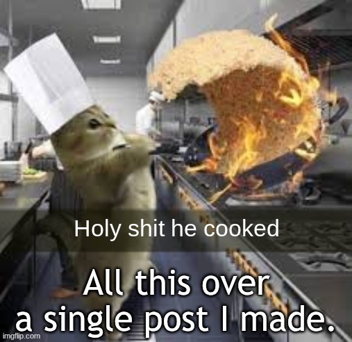 Holy shit he cooked | All this over a single post I made. | image tagged in holy shit he cooked | made w/ Imgflip meme maker