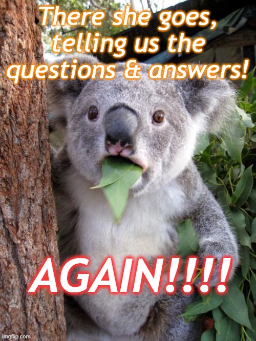 shocked koala | There she goes, telling us the questions & answers! AGAIN!!!! | image tagged in shocked koala | made w/ Imgflip meme maker