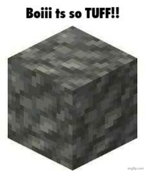 Boii ts so TUFF!! | image tagged in boii ts so tuff | made w/ Imgflip meme maker