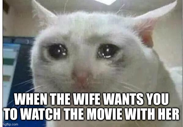 crying cat | WHEN THE WIFE WANTS YOU TO WATCH THE MOVIE WITH HER | image tagged in crying cat | made w/ Imgflip meme maker