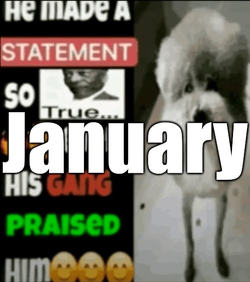 Sort oldest first | January | image tagged in he made a statement so true | made w/ Imgflip meme maker