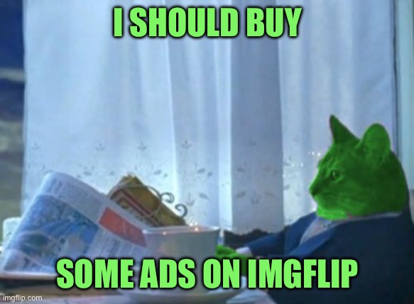 I Should Buy a Boat RayCat | I SHOULD BUY; SOME ADS ON IMGFLIP | image tagged in i should buy a boat raycat | made w/ Imgflip meme maker