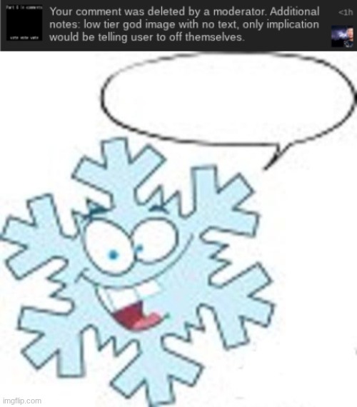 mods don't understand sarcasm | image tagged in snowflake | made w/ Imgflip meme maker