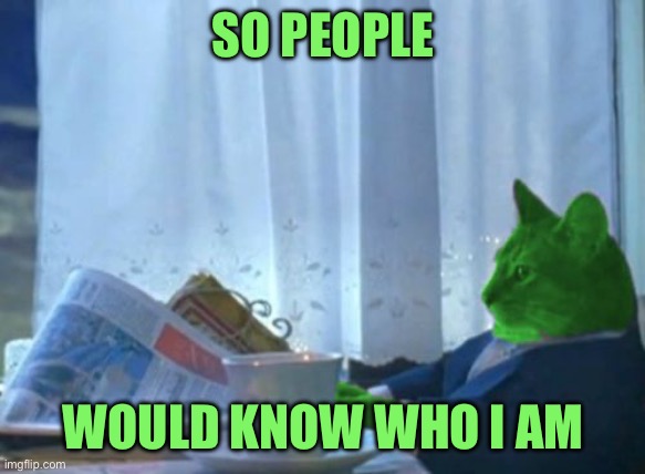 2/ I should buy a boat RayCat | SO PEOPLE; WOULD KNOW WHO I AM | image tagged in i should buy a boat raycat | made w/ Imgflip meme maker