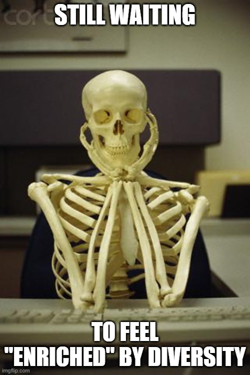 Waiting Skeleton | STILL WAITING; TO FEEL "ENRICHED" BY DIVERSITY | image tagged in waiting skeleton | made w/ Imgflip meme maker