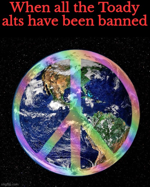 When all the Toady alts have been banned | made w/ Imgflip meme maker