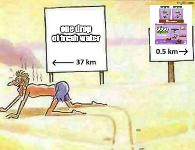 gogosqueez pudding nasty af | one drop of fresh water | image tagged in lost in the desert,gogo squeez,pudding,chocolate,memes,funny | made w/ Imgflip meme maker