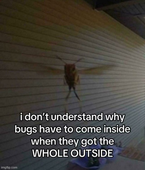 outside | image tagged in what | made w/ Imgflip meme maker