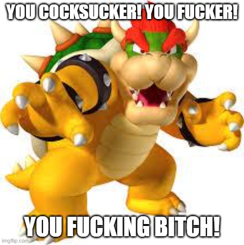 Bowser | YOU COCKSUCKER! YOU FUCKER! YOU FUCKING BITCH! | image tagged in bowser,jack black,tenacious d | made w/ Imgflip meme maker