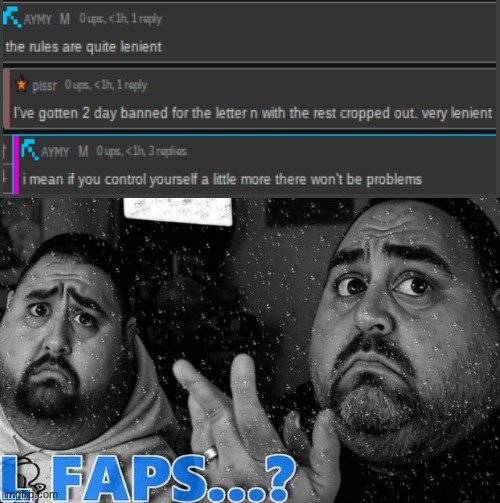 bs comments nobody gaf abt. biggest Amy L ever? | image tagged in l faps | made w/ Imgflip meme maker