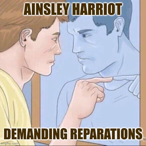 When you're descended from slave owners | AINSLEY HARRIOT; DEMANDING REPARATIONS | image tagged in pointing mirror guy | made w/ Imgflip meme maker