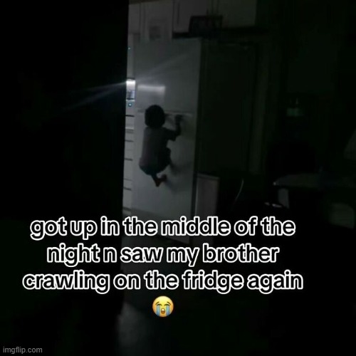 brother | image tagged in what | made w/ Imgflip meme maker