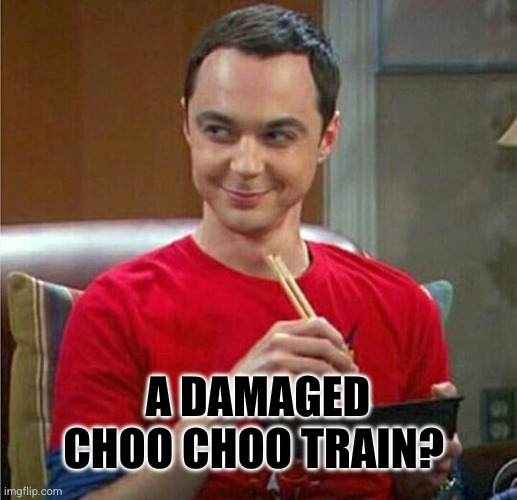 Sheldon Chinese Food | A DAMAGED CHOO CHOO TRAIN? | image tagged in sheldon chinese food | made w/ Imgflip meme maker