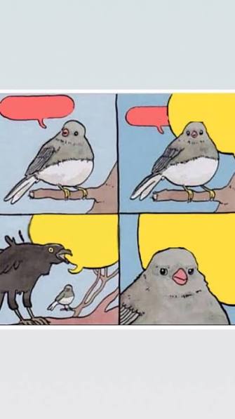 False knees Blank Meme Template