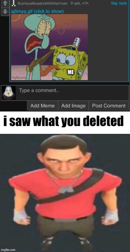 image tagged in i saw what you deleted scout | made w/ Imgflip meme maker