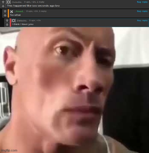 The Rock Eyebrows | image tagged in the rock eyebrows | made w/ Imgflip meme maker