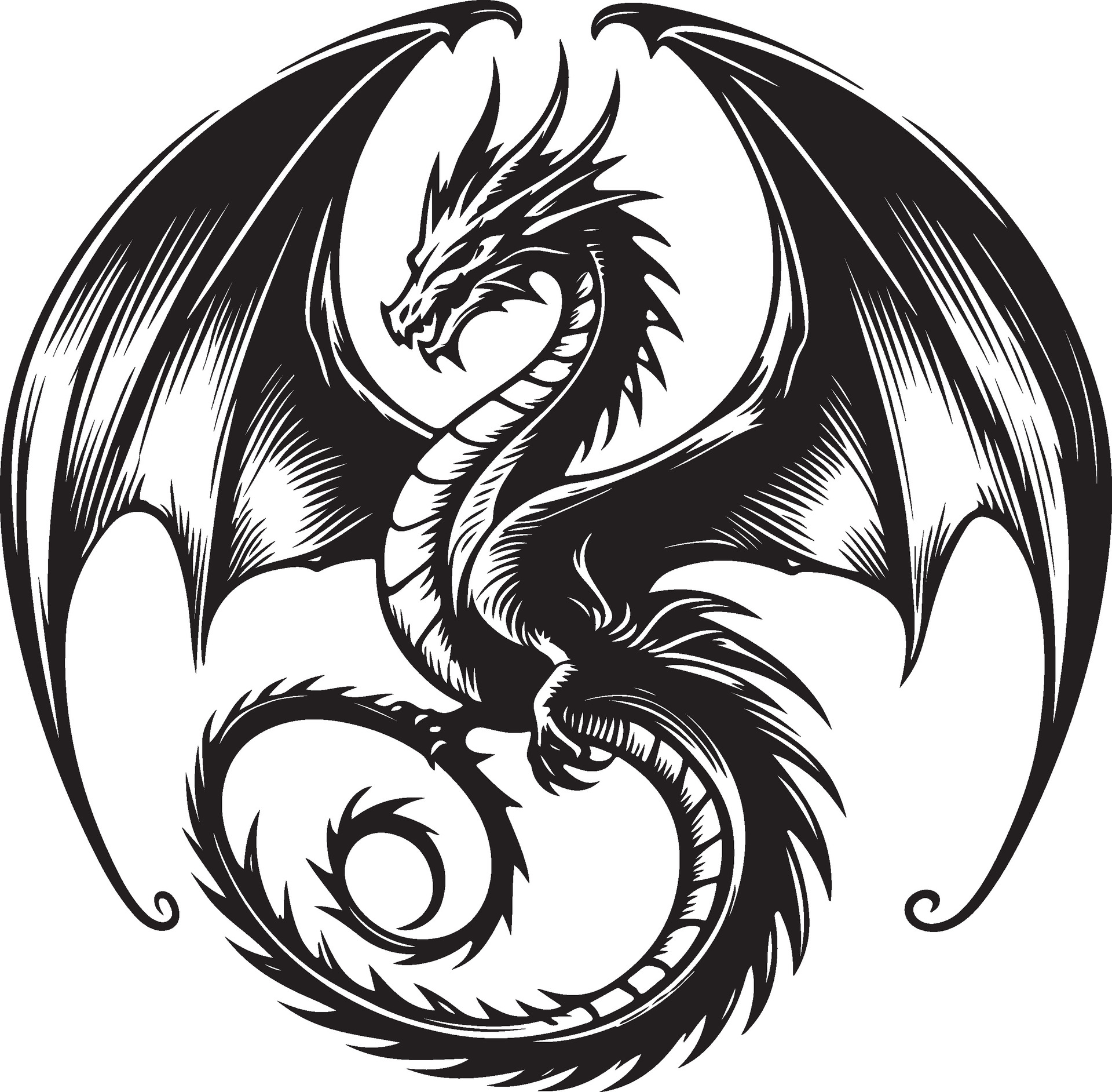 Dragon Blank Meme Template