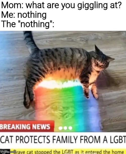 Mom: what are you giggling at?
Me: nothing
The "nothing": | image tagged in memes,funny,funny memes,meme | made w/ Imgflip meme maker