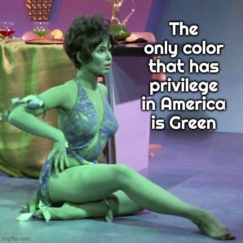 Money talks , lots of Money yells | The only color that has privilege in America is Green | image tagged in orion slave girl,white privilege,well yes but actually no,money in politics | made w/ Imgflip meme maker