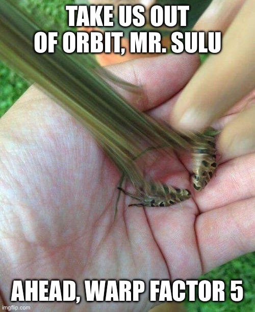 TAKE US OUT OF ORBIT, MR. SULU; AHEAD, WARP FACTOR 5 | image tagged in star trek,enterprise,captain kirk,sulu,space,frog | made w/ Imgflip meme maker