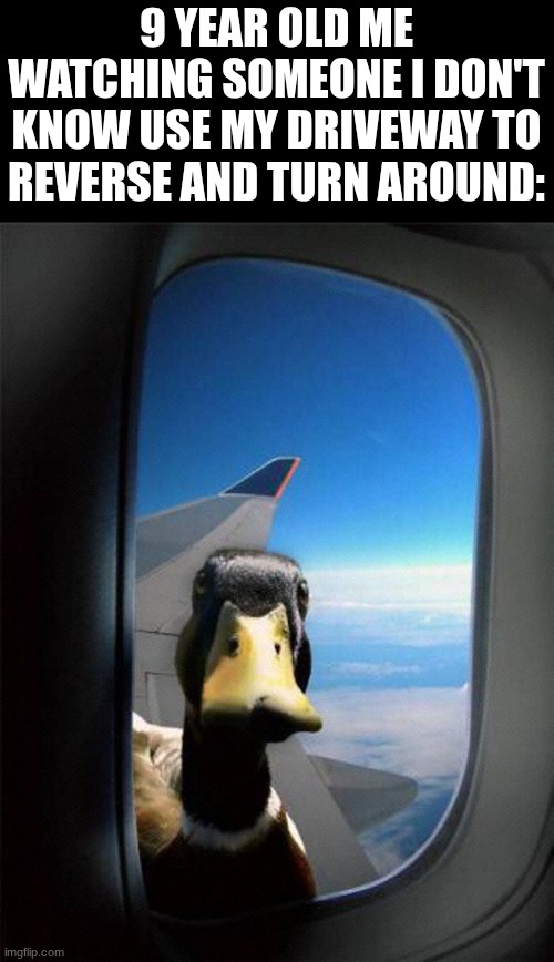 intruders | 9 YEAR OLD ME WATCHING SOMEONE I DON'T KNOW USE MY DRIVEWAY TO REVERSE AND TURN AROUND: | image tagged in airplane duck,memes,relatable,true story,childhood,ha ha tags go brr | made w/ Imgflip meme maker