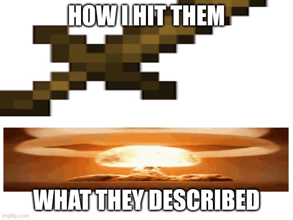 HOW I HIT THEM; WHAT THEY DESCRIBED | image tagged in funny memes | made w/ Imgflip meme maker