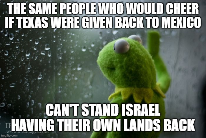 kermit window | THE SAME PEOPLE WHO WOULD CHEER IF TEXAS WERE GIVEN BACK TO MEXICO; CAN'T STAND ISRAEL HAVING THEIR OWN LANDS BACK | image tagged in kermit window | made w/ Imgflip meme maker