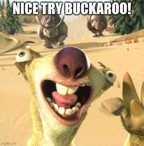 Yeah Nice Try Bucktooth | NICE TRY BUCKAROO! | image tagged in yeah nice try bucktooth | made w/ Imgflip meme maker