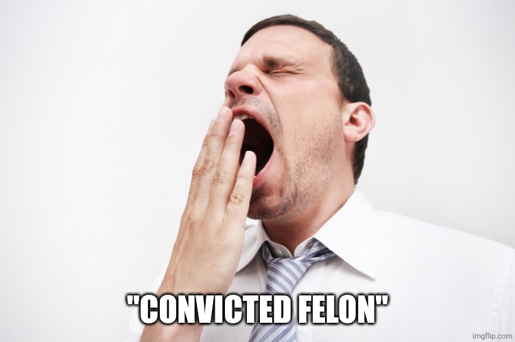 "CONVICTED FELON" | image tagged in yawn | made w/ Imgflip meme maker