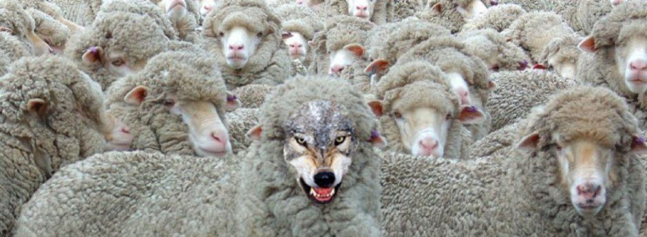 Wolves in the Republican Party Blank Meme Template