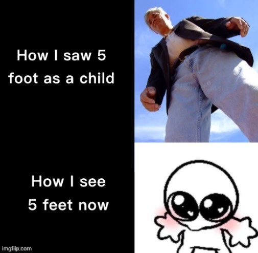I'm the 6 feet. | image tagged in feet,foot,height,memes,repost,reposts | made w/ Imgflip meme maker