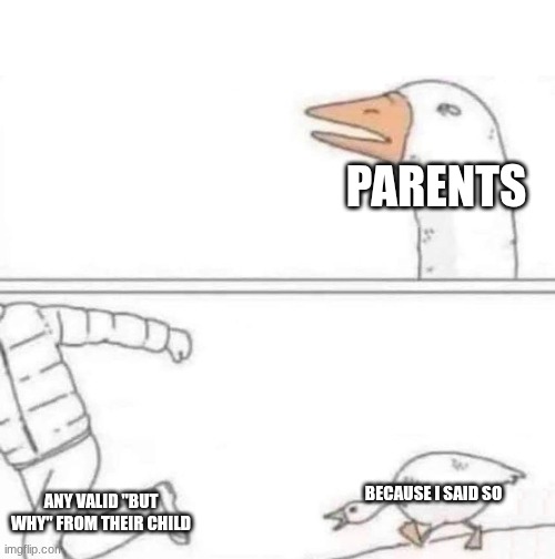 Goose Chase | PARENTS; ANY VALID "BUT WHY" FROM THEIR CHILD; BECAUSE I SAID SO | image tagged in goose chase | made w/ Imgflip meme maker