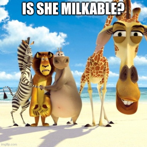 Melman Why Are You | IS SHE MILKABLE? | image tagged in melman why are you | made w/ Imgflip meme maker