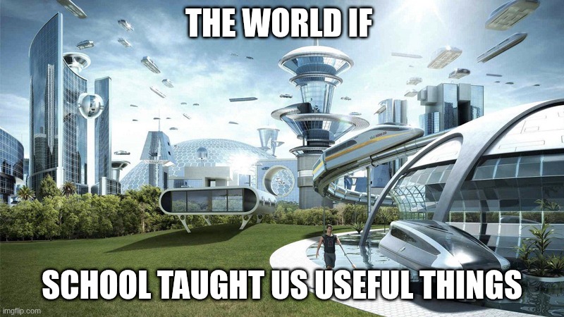 The future world if | THE WORLD IF; SCHOOL TAUGHT US USEFUL THINGS | image tagged in the future world if | made w/ Imgflip meme maker
