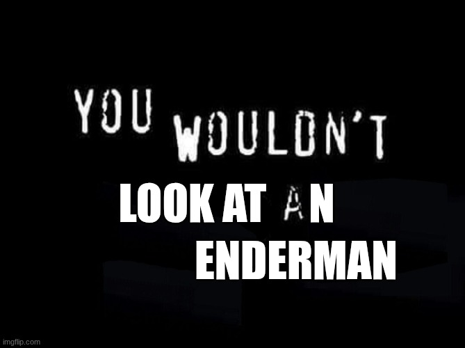 You Wouldn't blank A blank | LOOK AT     N; ENDERMAN | image tagged in you wouldn't blank a blank | made w/ Imgflip meme maker