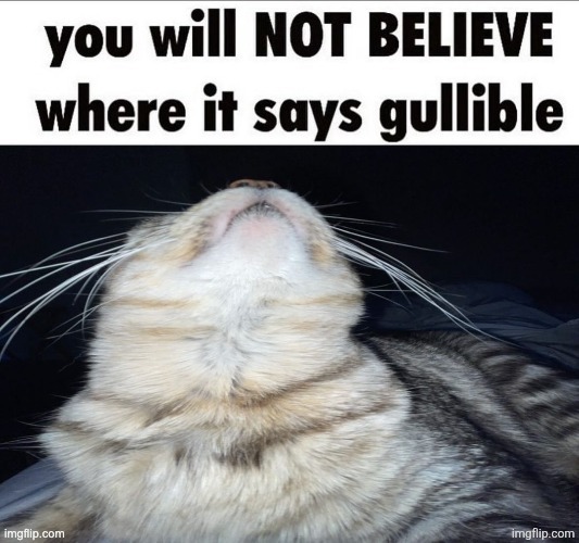 you will not BELIEVE where it says gullible | image tagged in you will not believe where it says gullible | made w/ Imgflip meme maker