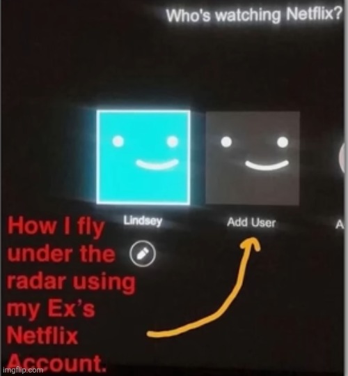 image tagged in sneaky,clever,netflix,account,ex girlfriend,movies | made w/ Imgflip meme maker