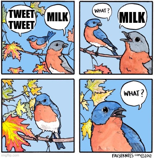 What bird | MILK; MILK; TWEET TWEET | image tagged in what bird | made w/ Imgflip meme maker