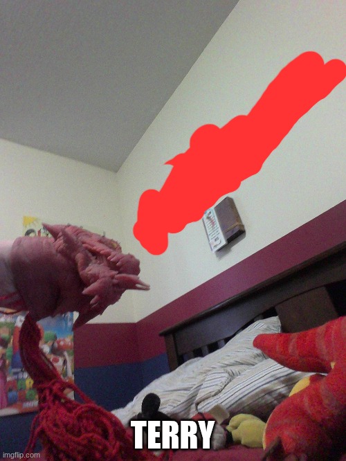 TERRY | made w/ Imgflip meme maker