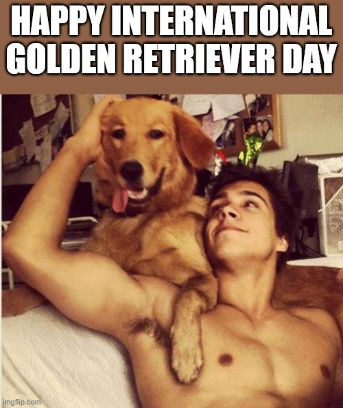 Happy International Golden Retriever Day | HAPPY INTERNATIONAL GOLDEN RETRIEVER DAY | image tagged in golden retriever,dog,shirtless,armpit,funny,memes | made w/ Imgflip meme maker