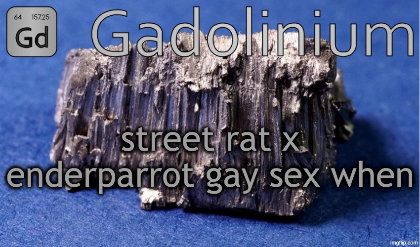 Gadolinium Temp | street rat x enderparrot gay sex when | image tagged in gadolinium temp | made w/ Imgflip meme maker