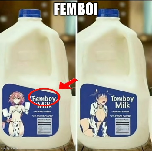 FEMBOI | made w/ Imgflip meme maker