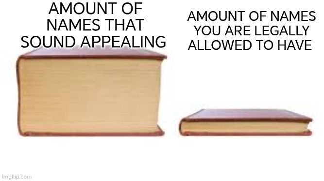 There's so many names. I've pretty much settled for 2, but there's so many more | AMOUNT OF NAMES THAT SOUND APPEALING; AMOUNT OF NAMES YOU ARE LEGALLY ALLOWED TO HAVE | image tagged in big book small book,name | made w/ Imgflip meme maker