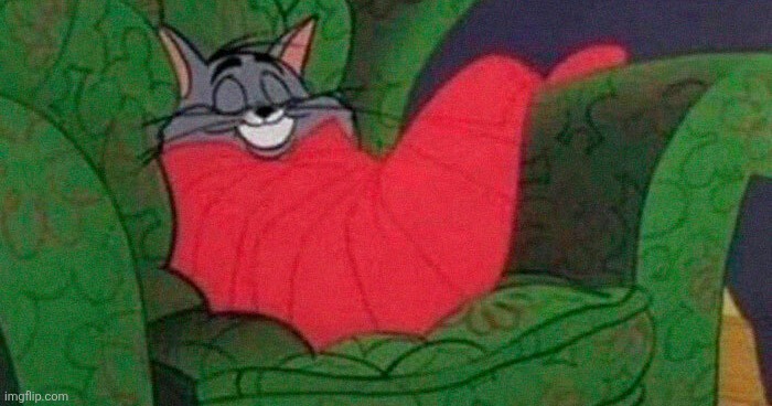 tom the cat sleeping | image tagged in tom the cat sleeping | made w/ Imgflip meme maker