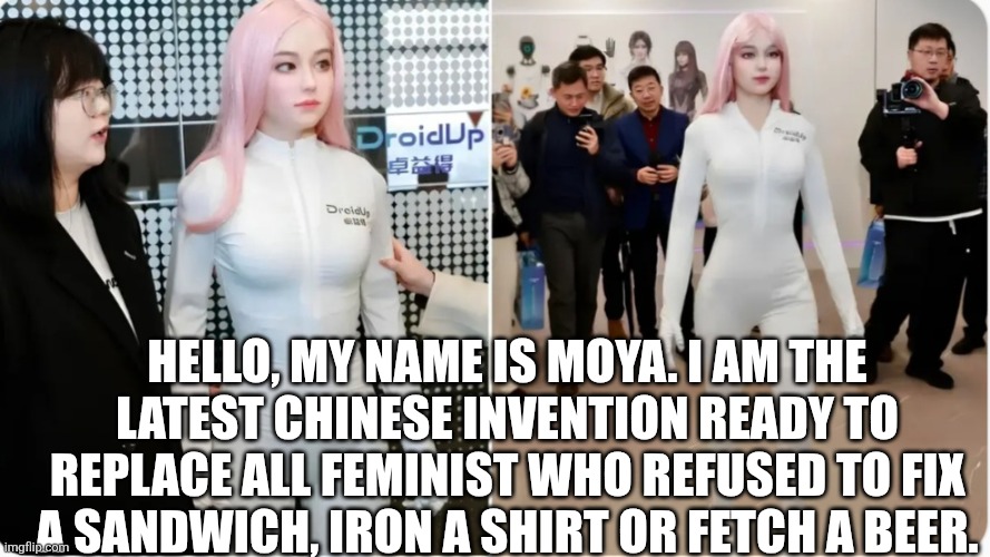 The future is here ladies! | HELLO, MY NAME IS MOYA. I AM THE LATEST CHINESE INVENTION READY TO REPLACE ALL FEMINIST WHO REFUSED TO FIX A SANDWICH, IRON A SHIRT OR FETCH A BEER. | made w/ Imgflip meme maker