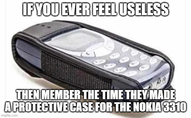 bro why would need a protective case if the phone's built like Amir ? | IF YOU EVER FEEL USELESS; THEN MEMBER THE TIME THEY MADE A PROTECTIVE CASE FOR THE NOKIA 3310 | made w/ Imgflip meme maker