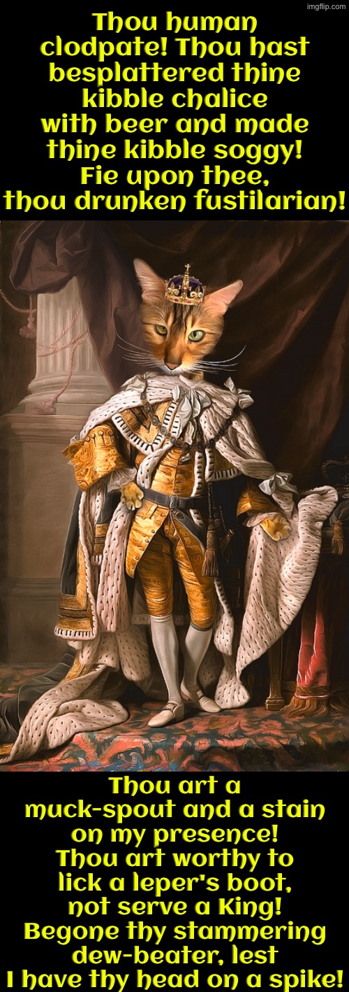Thou Hast Besplattered Thine Kibble Chalice | Thou human clodpate! Thou hast besplattered thine kibble chalice with beer and made thine kibble soggy! Fie upon thee, thou drunken fustilarian! Thou art a muck-spout and a stain on my presence! Thou art worthy to lick a leper's boot, not serve a King! Begone thy stammering dew-beater, lest I have thy head on a spike! | image tagged in cats,funny cats,medieval memes,insults,the king,beer | made w/ Imgflip meme maker